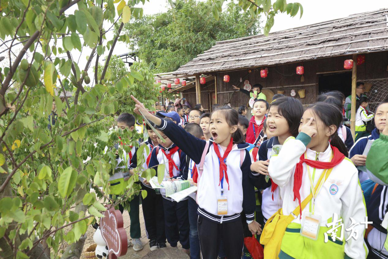 孩子们在盈香生态园开展研学活动。盈香生态园供图 孩子们在盈香生态园开展研学活动。盈香生态园供图
