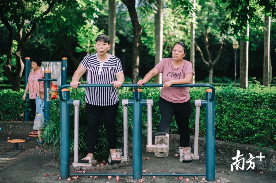 滨江公园。 滨江公园。