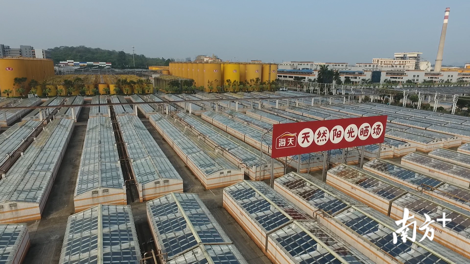 2001年至今，海天味业已投入过百亿元开展技改。图为海天生产基地。受访者供图