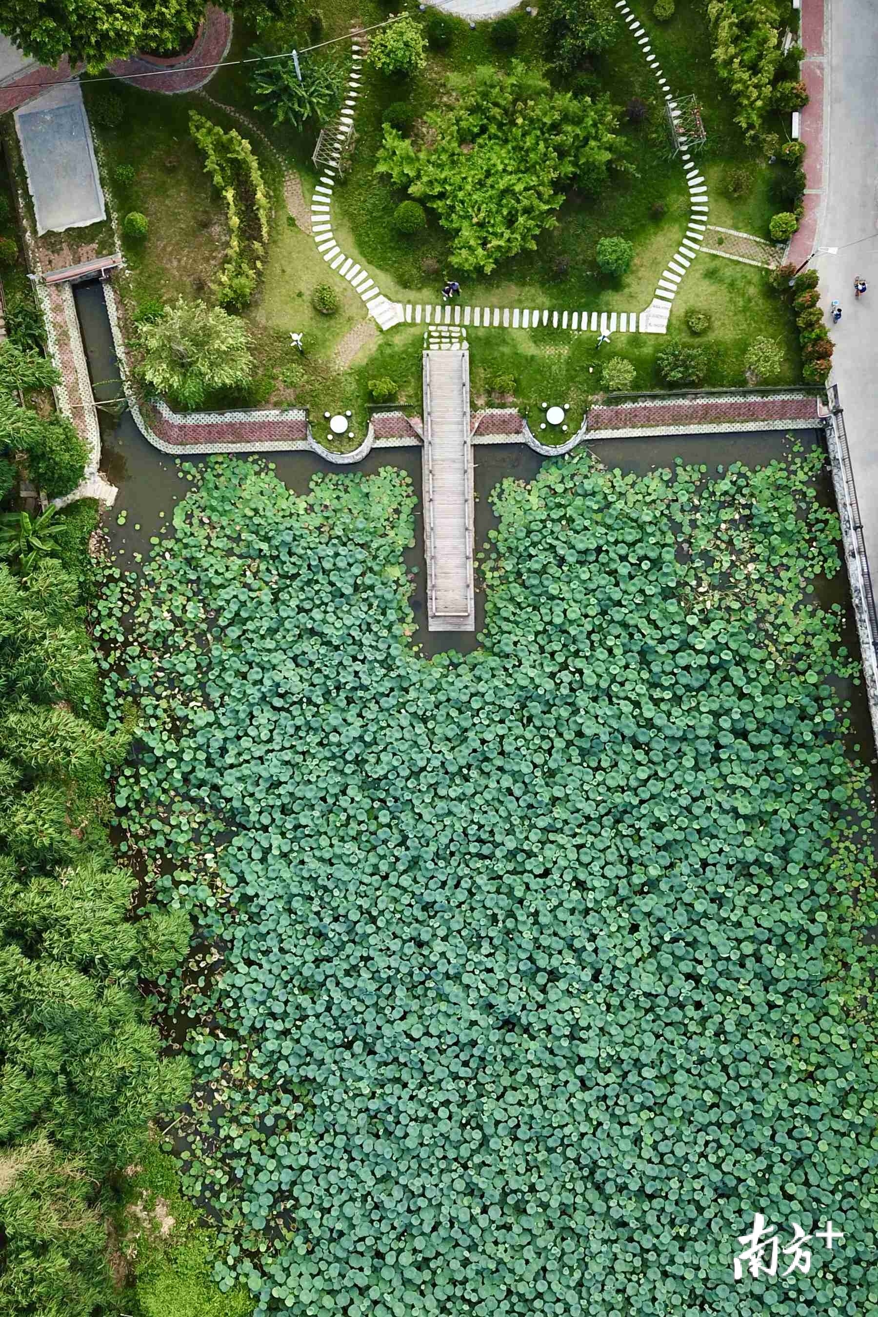 旦家园打造沿湖景观精致，展现田园风光。