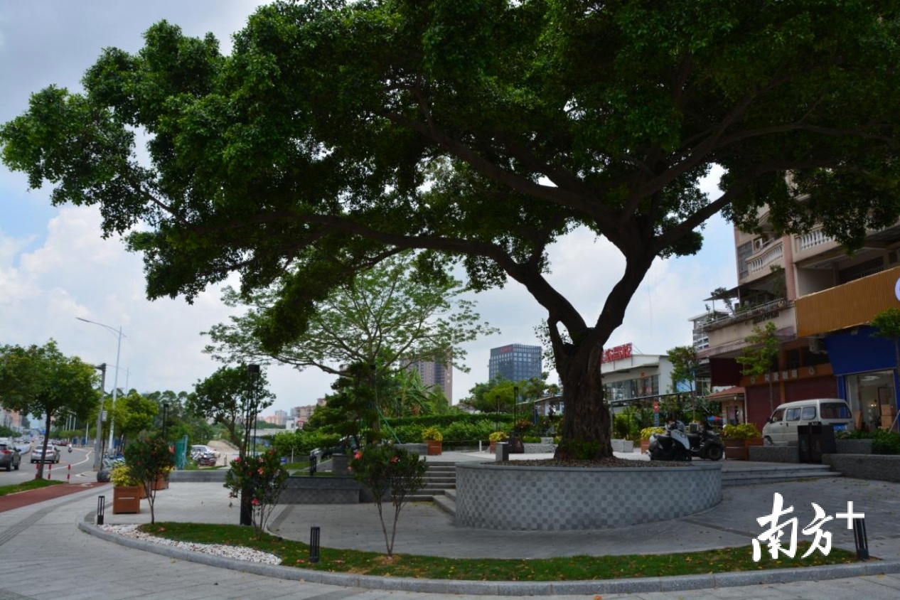 居民在家门口就可以逛公园。图为天河小苑口袋公园。