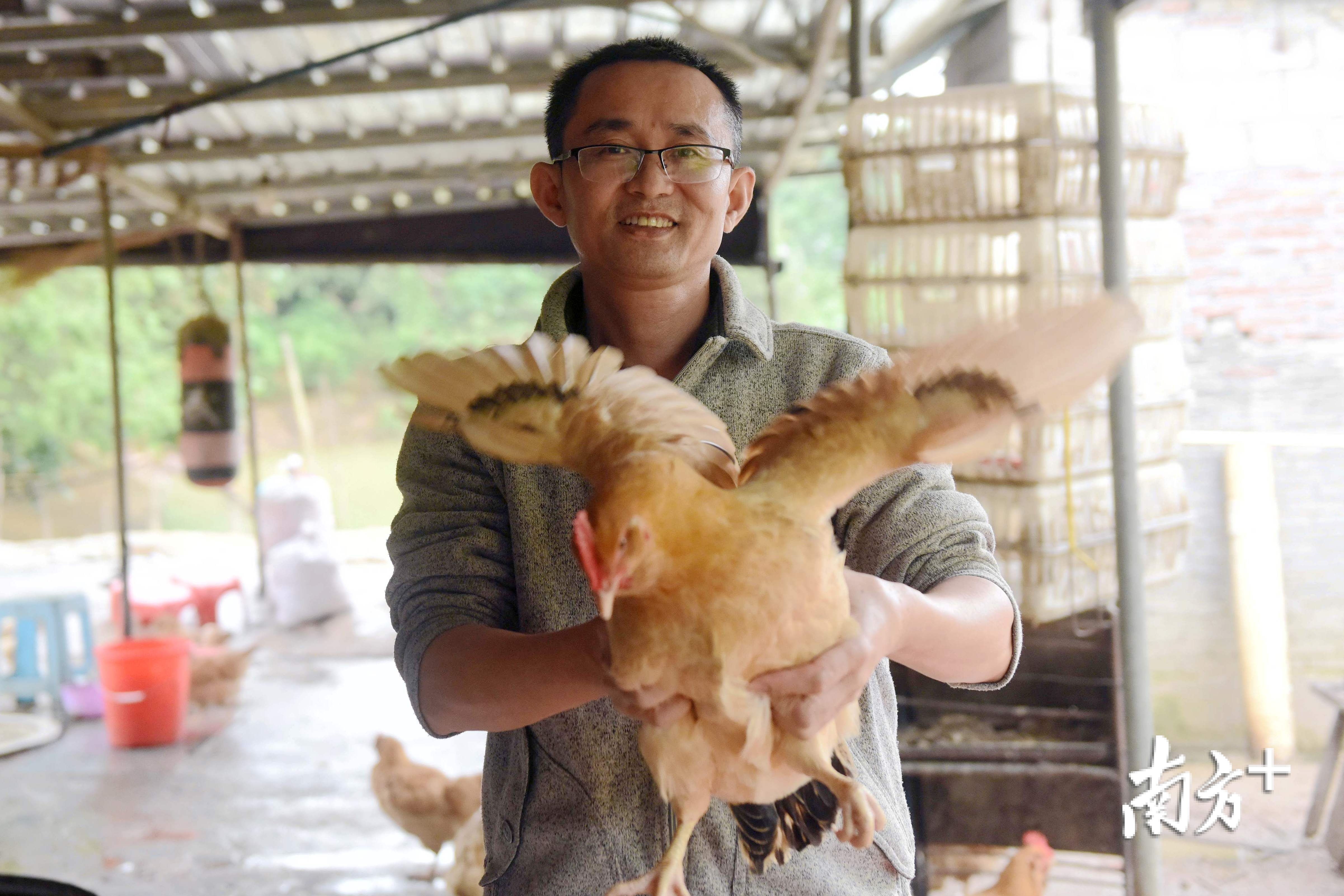 养殖达人达世斌，2019年底脱贫