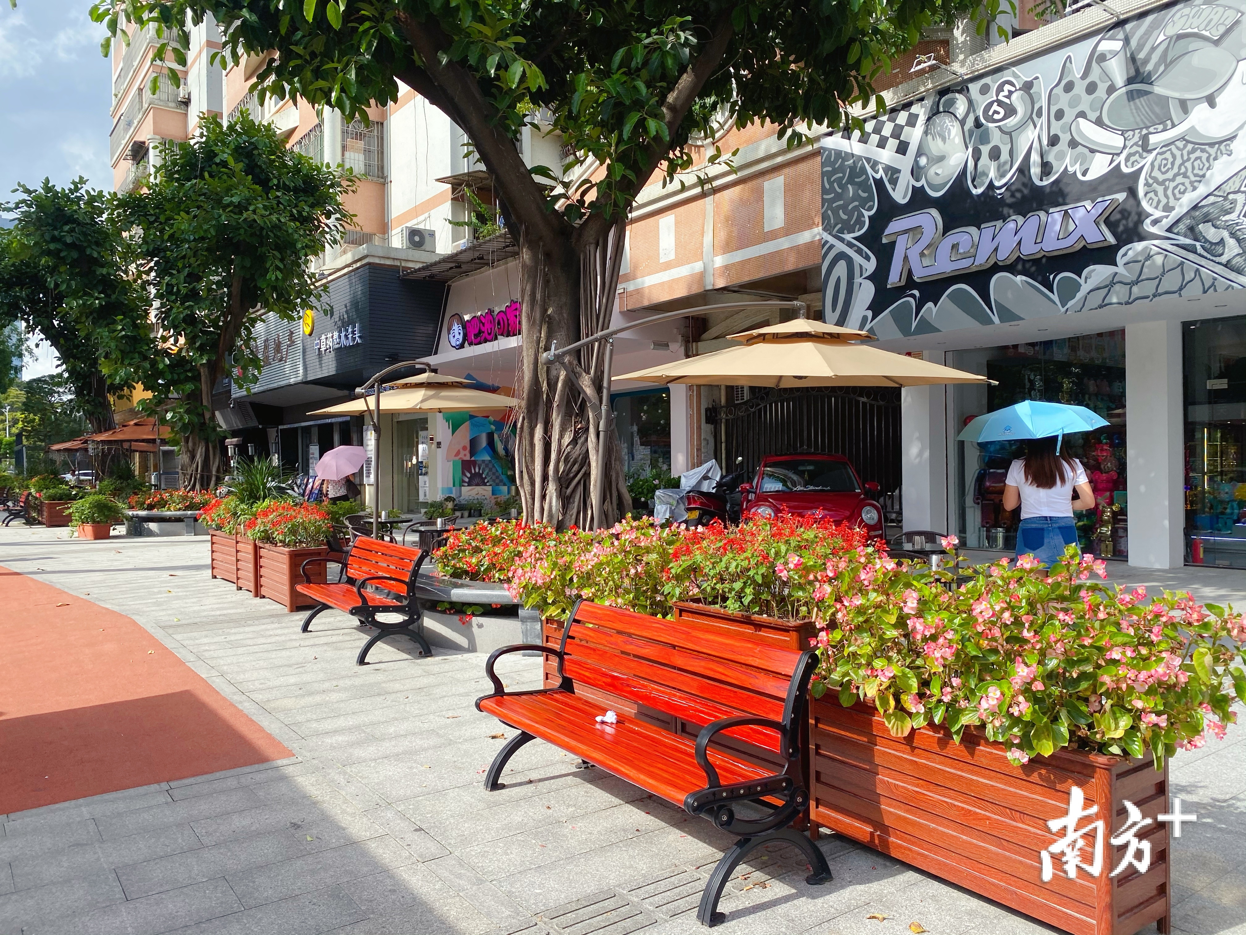 时令花卉的搭配为江门仲夏增添色彩。张婧媛 摄