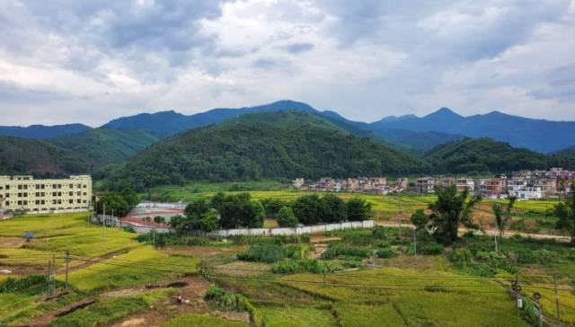 中山发动社会力量，托起大山里的读书梦