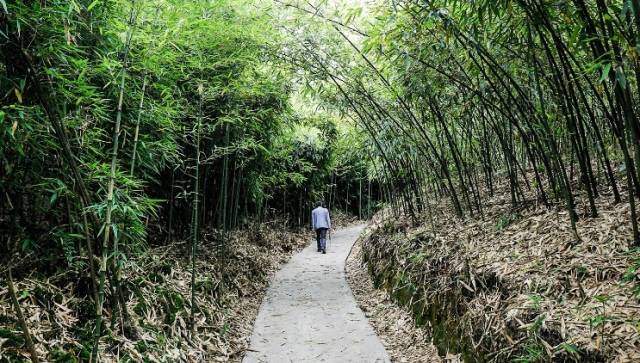 记者观察 | 中山产业扶贫的“一揽子”方案