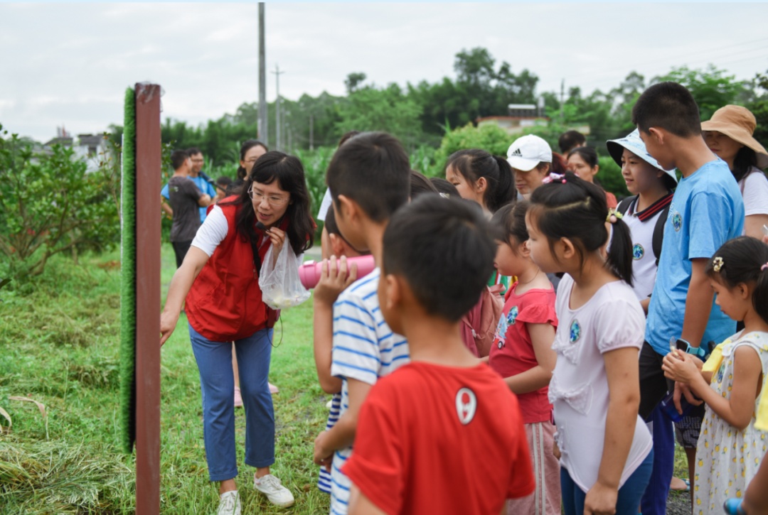 配有观光廊道、扫码识树和路径指引标识的仁化县城南森林公园吸引众多游客前往参观学习。 配有观光廊道、扫码识树和路径指引标识的仁化县城南森林公园吸引众多游客前往参观学习。