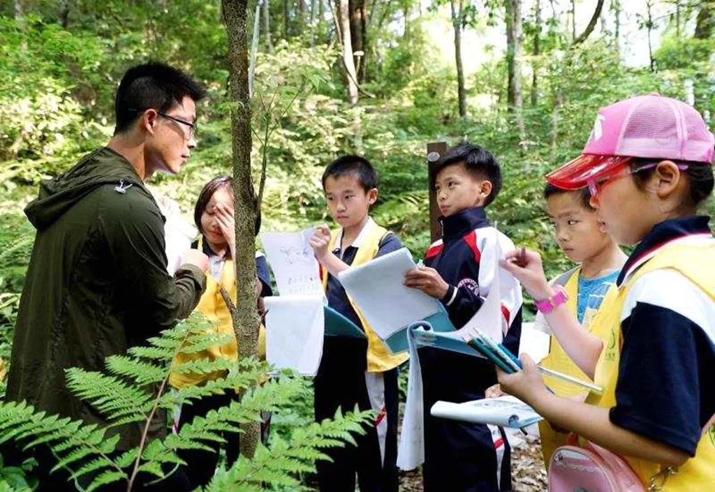 青少年在车八岭学习科普知识。 青少年在车八岭学习科普知识。