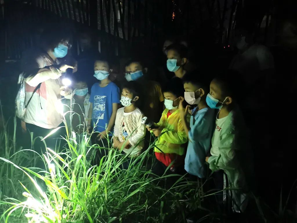 丹霞山景区内,科普导师在给孩子们讲解昆虫知识。 丹霞山景区内,科普导师在给孩子们讲解昆虫知识。