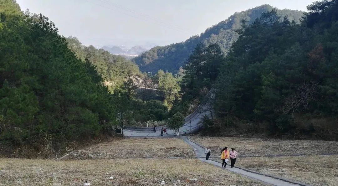 空气清新风景优美的乐昌林场。 空气清新风景优美的乐昌林场。