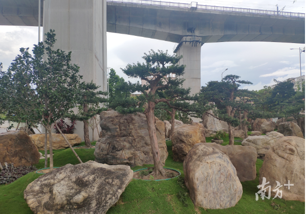 沙田高速公路桥底闲置地将变身奇石景观公园