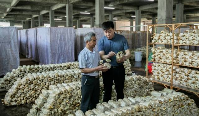 梅州大埔旧寨村：给一亩地做“加法”，“三无”村变示范村|决战决胜脱贫攻坚