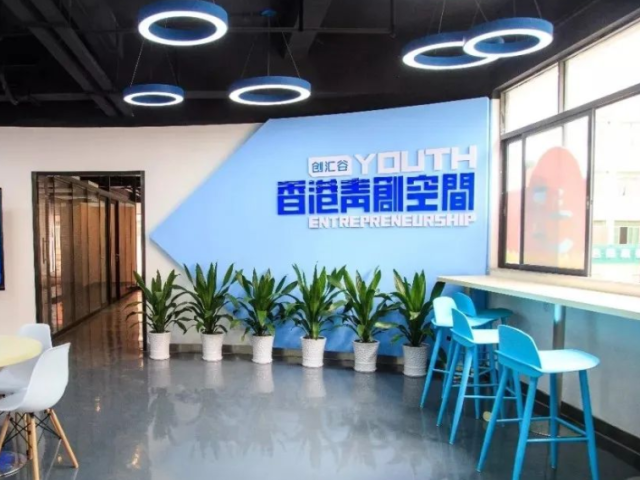 【新华社】香港青年南沙创业，连接港澳台侨生