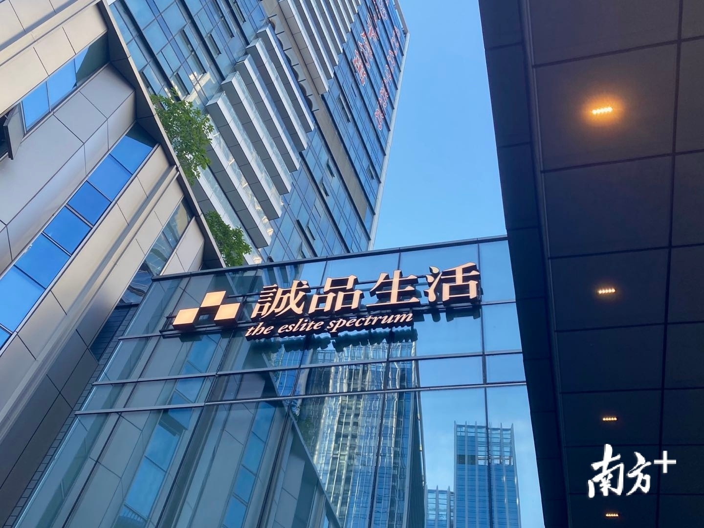 诚品生活深圳店 祁觊 摄 诚品生活深圳店 祁觊 摄