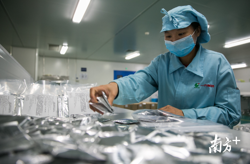 图为制药厂工人正在对出厂的"肺炎1号方"进行包装作业.