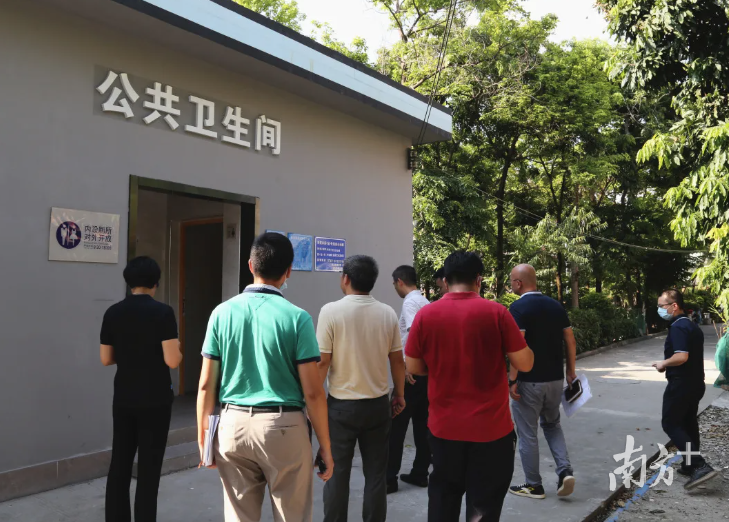 书记带队督导，道滘加速推进“厕所革命”