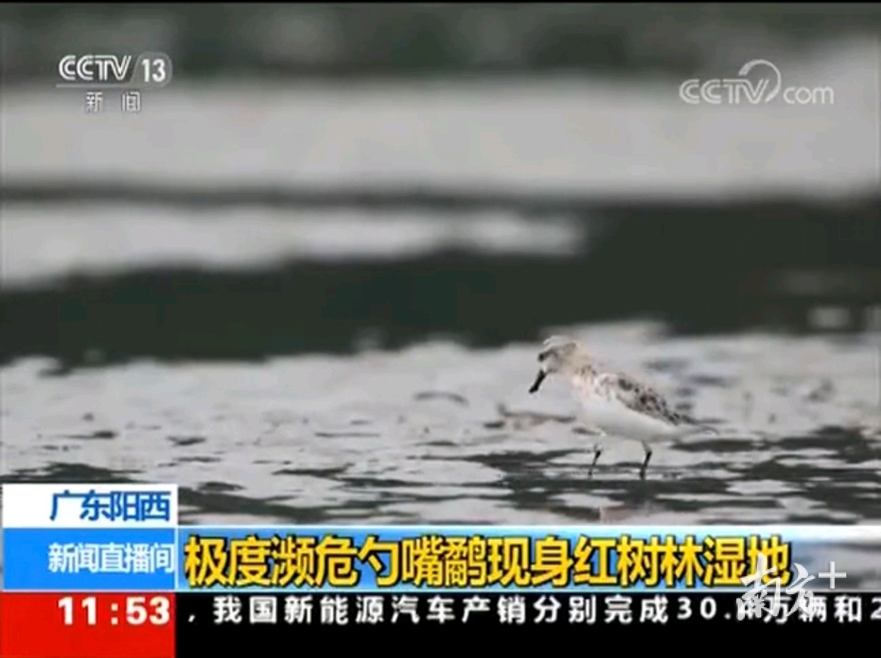 央视新闻截图。