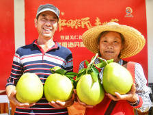 韶关仁化安岗村走出一条色彩斑斓的脱贫致富路