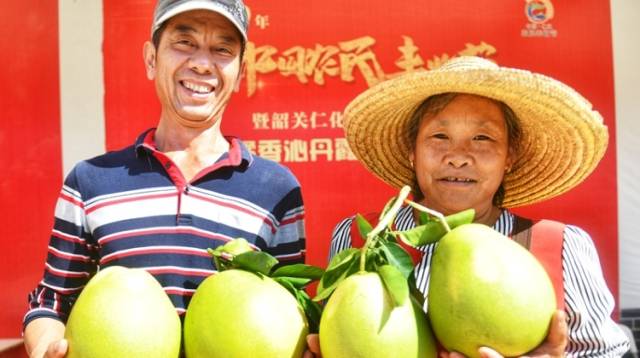 韶关仁化安岗村走出一条色彩斑斓的脱贫致富路