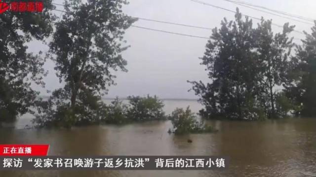 江洲小镇抗洪:村民留守负责监控江水倒灌线索,游子从广州回家