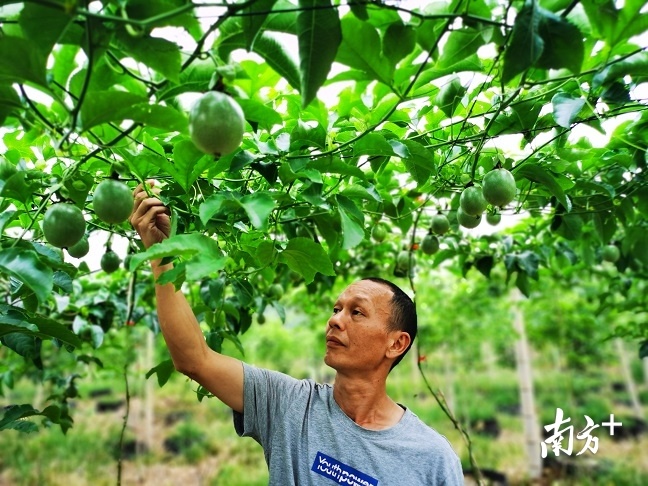 流转了土地的农户还在基地务工,实现家门口就业。 流转了土地的农户还在基地务工,实现家门口就业。