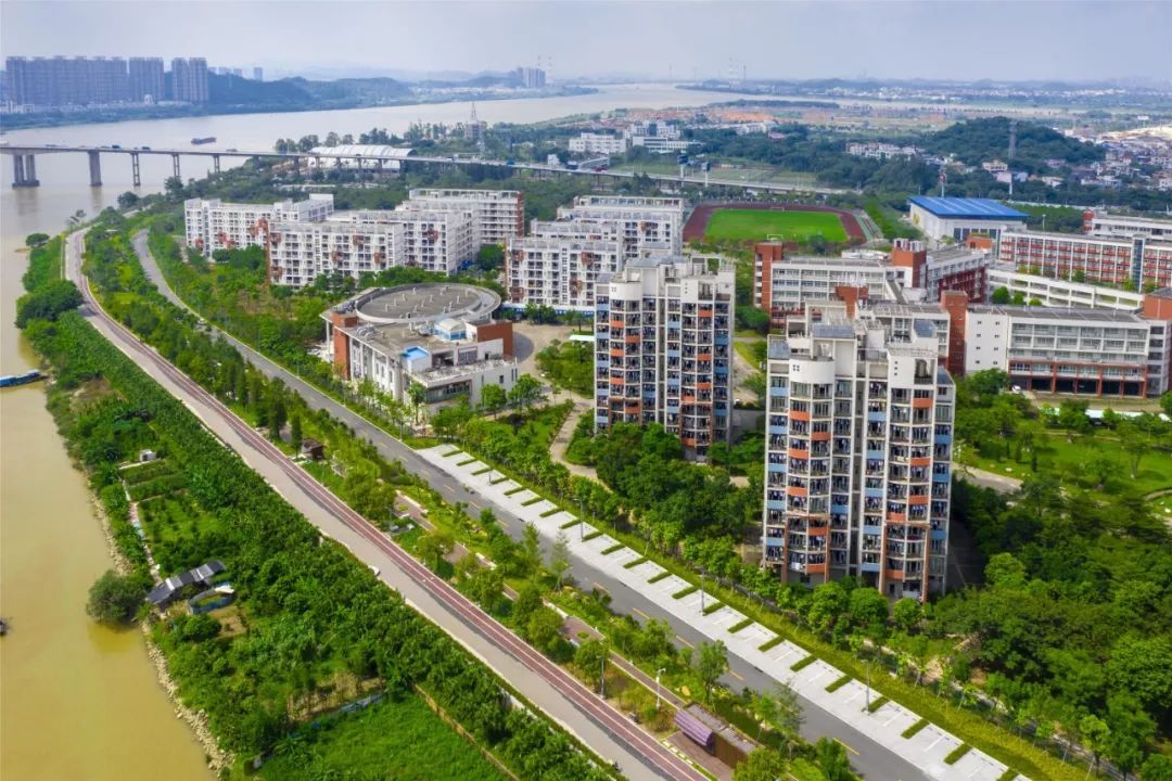 周华东摄 周华东摄