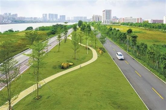 周华东摄 周华东摄