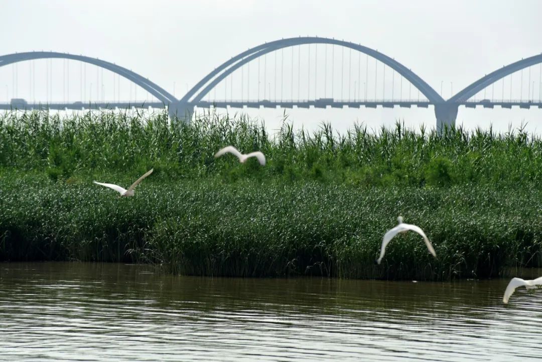 刘琼 摄 刘琼 摄