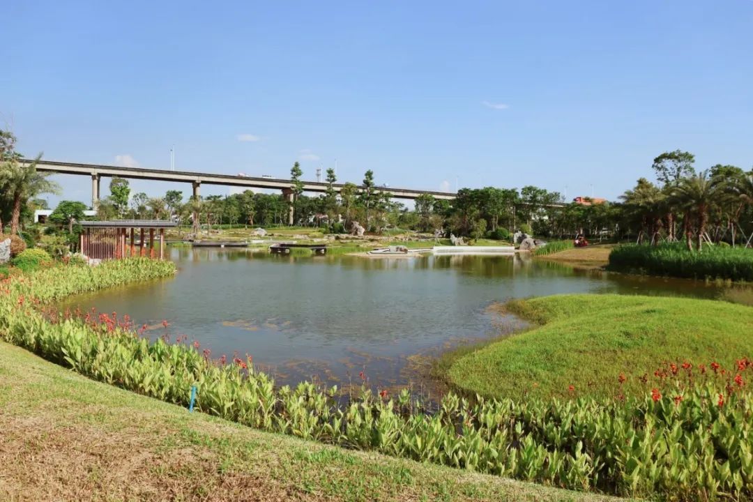 罗霈 摄 罗霈 摄