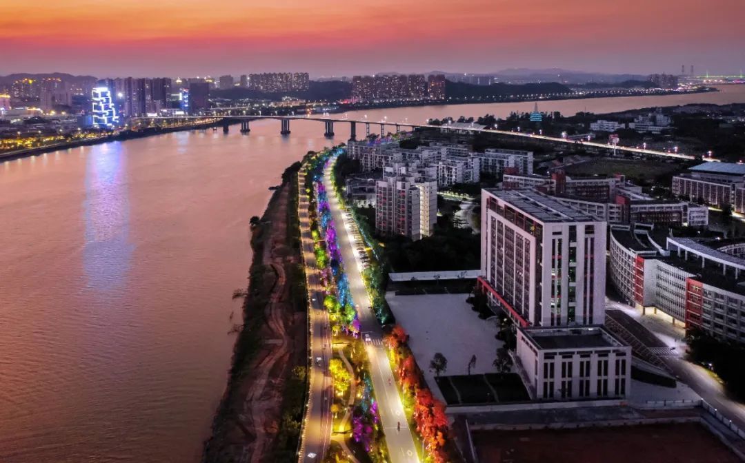 江门人才岛试验段景观航拍图。周华东摄 江门人才岛试验段景观航拍图。周华东摄