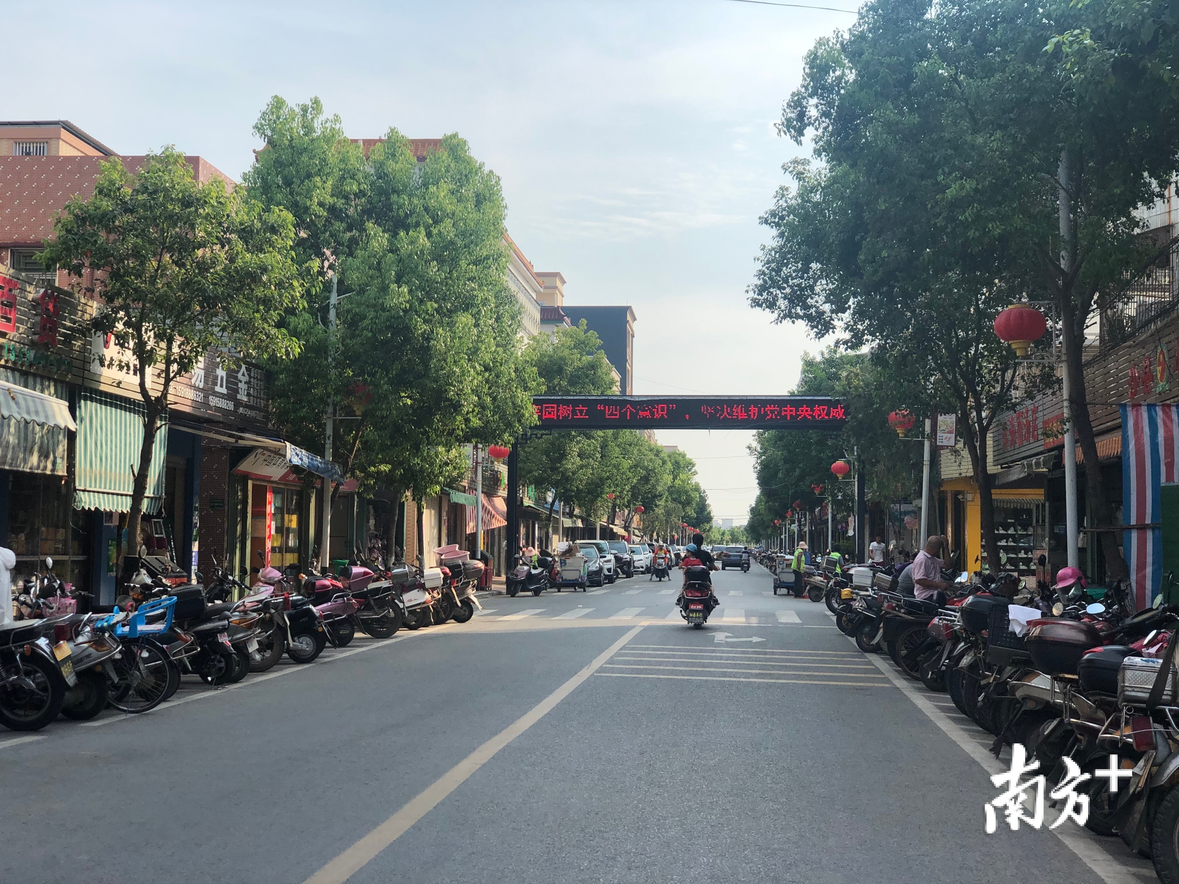 井然有序的滨海内街。余丹 摄