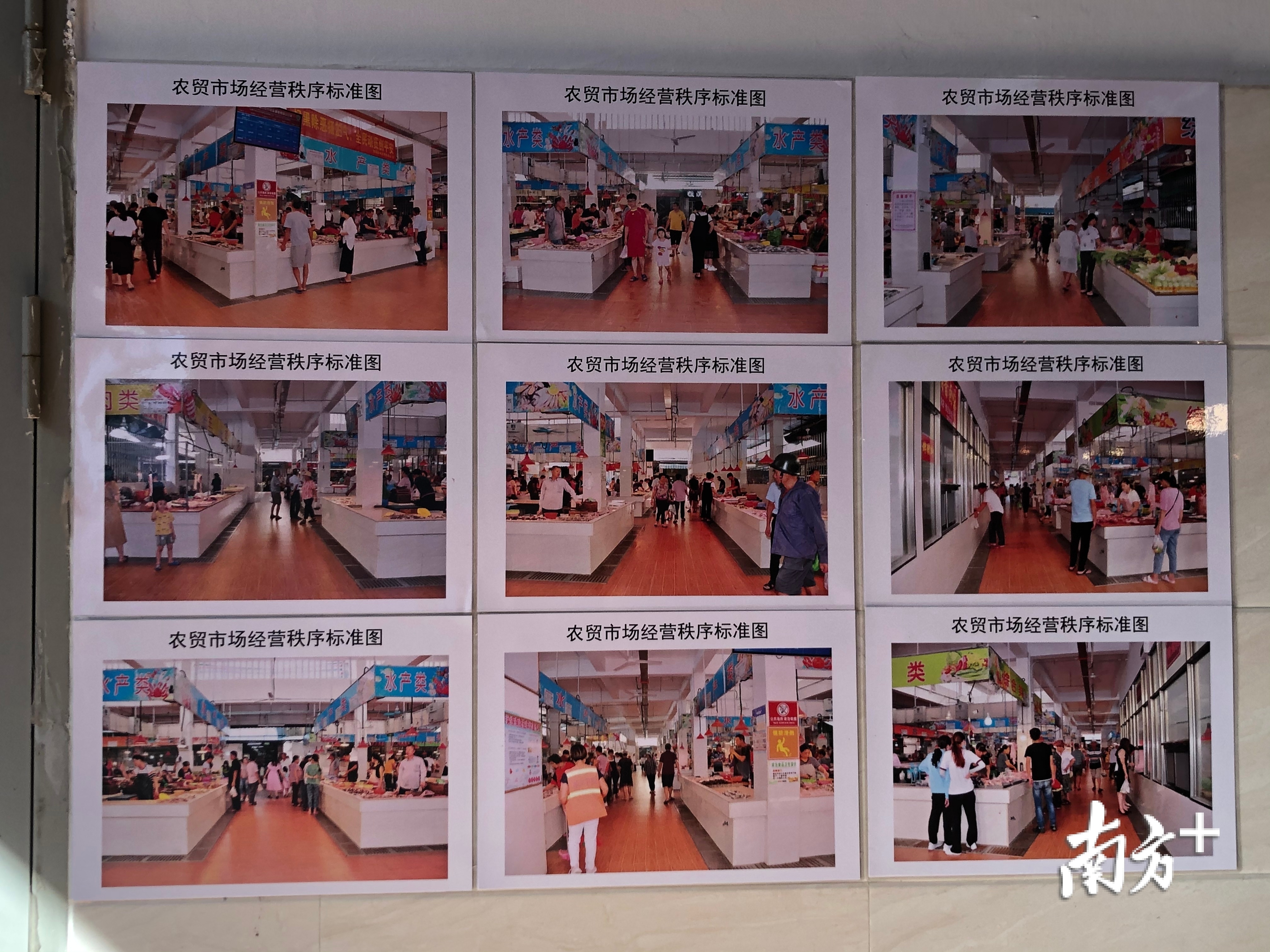 钱塘农贸市场的标准图。余丹 摄