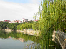 切好“蛋糕”共同富裕，广州“亿元村”的幸福密码|走向我们的小康生活