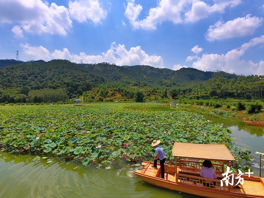 龙颈镇精品路线的打造涉及4个村委会21个村小组的人居环境改造。梁素雅 摄