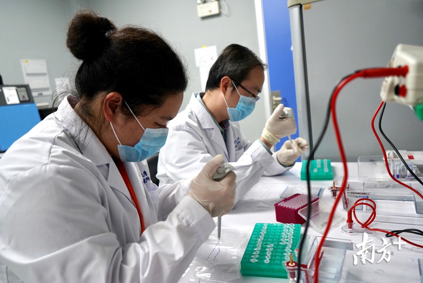化学与精细化工广东省实验室落户汕头。