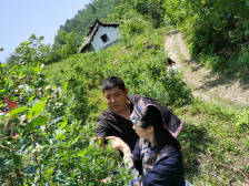 广东东西部扶贫协作，被帮扶地都有哪些变化？