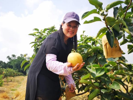不分“梨”！听说，早脆梨整个吃更美味哦～