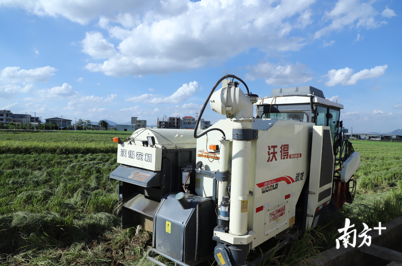 在江东土地流转中,农业机械化显示出重要的支撑作用。纪金娜 摄 在江东土地流转中,农业机械化显示出重要的支撑作用。纪金娜 摄