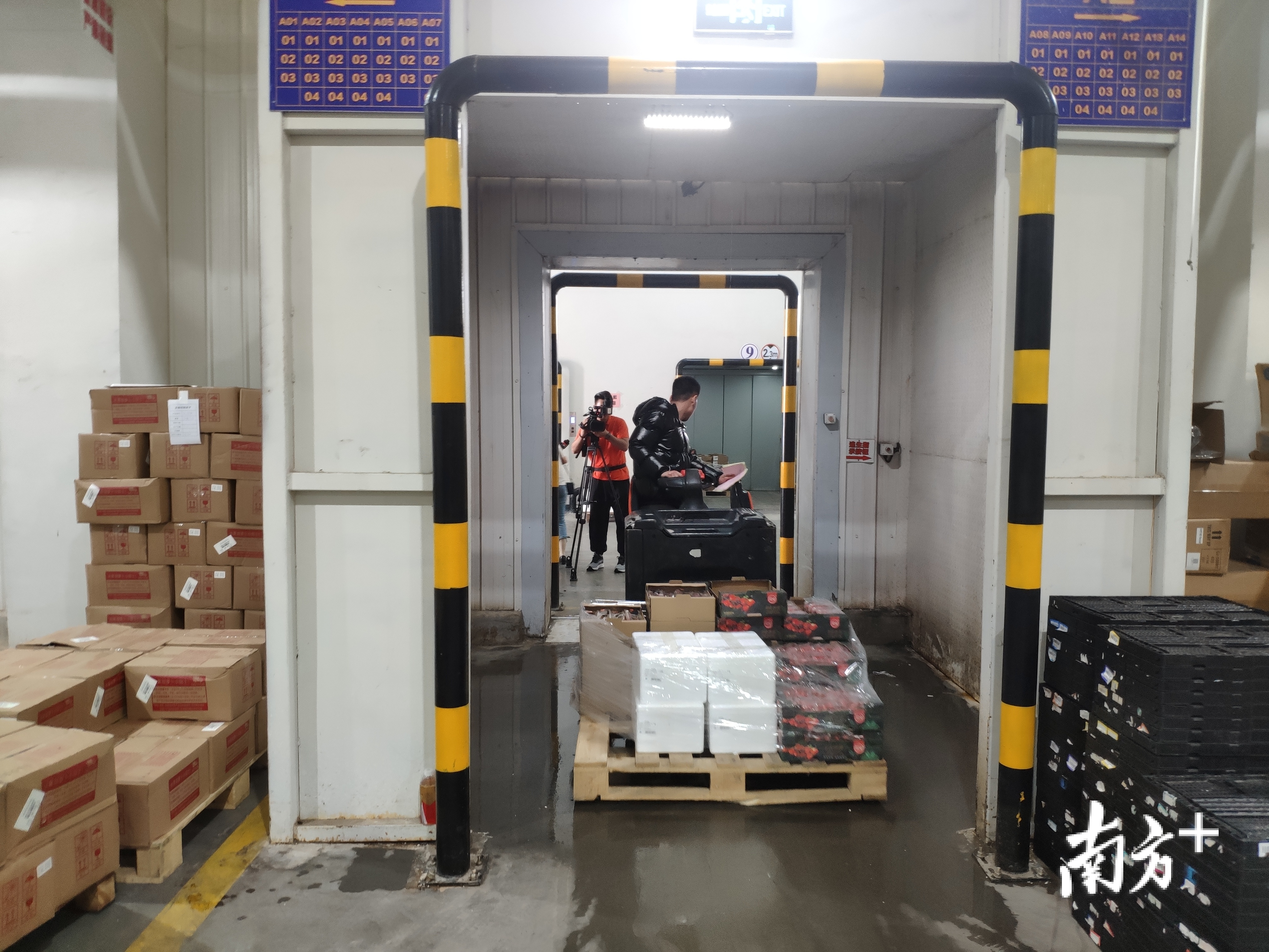 广东唯一国家骨干冷链物流基地建为何设在东莞？