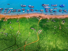 相约三江汇流处，“城市三水·镜美湾区”摄影大赛明日开镜！