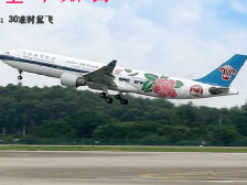 会飞的“空中网红”！她已为广东荔枝“环行地球7周”