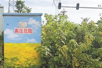 茶山城管分局正结合东莞市城市道路“千箱美化”专项行动,对各类市政箱体开展彩绘美化行动