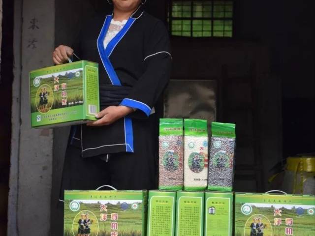 【走向我们的小康生活】瑶家姐弟,走出“瑶山稻鱼米”致富之路