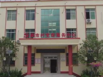 走向我们的小康生活丨鹤市镇鹤市村:村貌变靓村集体和村民收入大涨