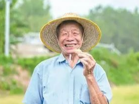 走向我们的小康生活 | 高山红薯走向大湾区,贫困户均增收达5000元