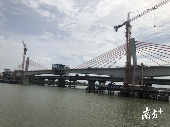 佛山地铁3号线顺德水道大桥安全顺利合龙。 佛山市铁路投资建设集团供图 佛山地铁3号线顺德水道大桥安全顺利合龙。 佛山市铁路投资建设集团供图
