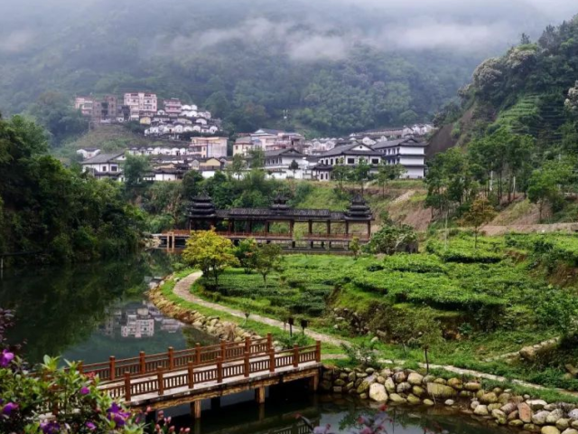 走向我们的小康生活丨做好山水大文章 走稳生态小康路