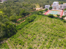 【南方日报】茂名电白龙山村：一腔“好心”换得一村信心