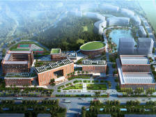 中大教授林江：建设综合性国家科学中心，大湾区要强化分工协作