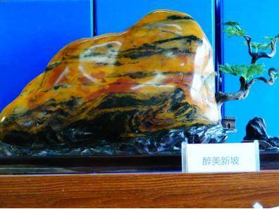 一篇别具意义的扶贫日记:慧眼识顽石,巧手成脱贫