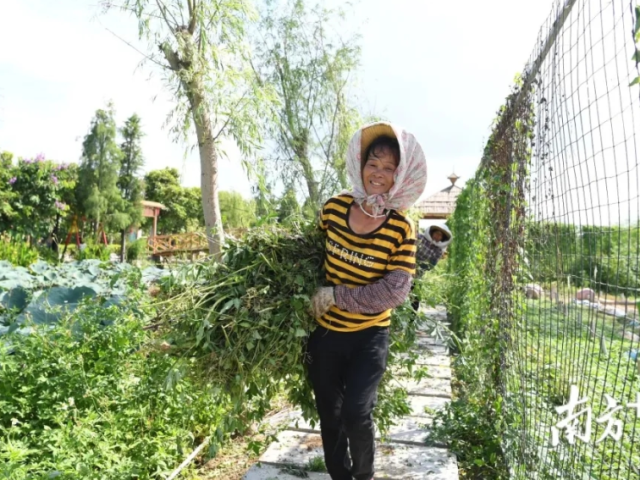 【点赞】赋闲妇女组建“娘子军”,唱起小康咸水歌